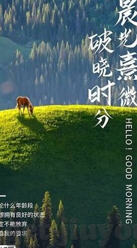 足球比分迅盈-足球比分迅盈，揭秘绿茵场上的财富密码与理性投资之道