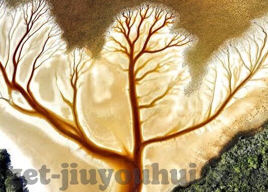 足球的比分玩法-足球比分玩法全解析，从入门到精通的进阶指南