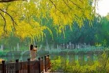 足球即时比分完场比分-足球即时比分与完场比分，赛场风云的实时镜像与历史定格